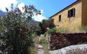 Ikarian Centre - Accommodation & Mountain Hiking