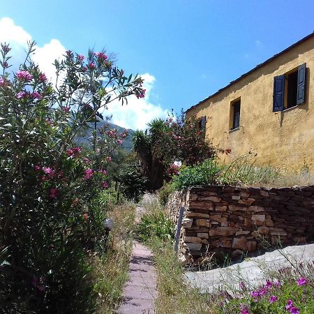 Ikarian Centre - Accommodation & Mountain Hiking Εύδηλος Εξωτερικό φωτογραφία