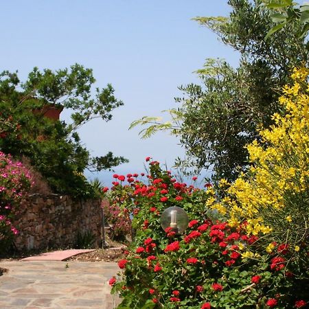 Ikarian Centre - Accommodation & Mountain Hiking Εύδηλος Εξωτερικό φωτογραφία