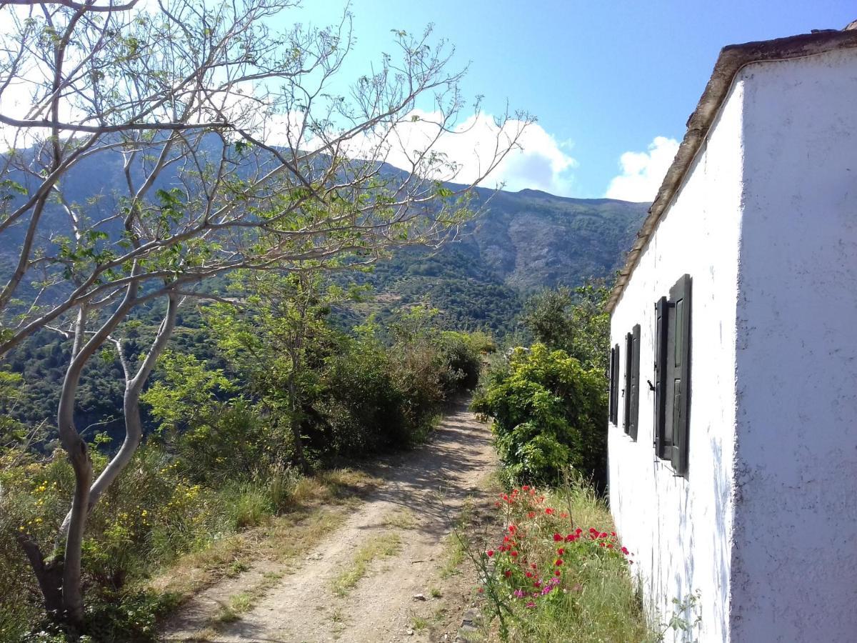 Ikarian Centre - Accommodation & Mountain Hiking Εύδηλος Εξωτερικό φωτογραφία