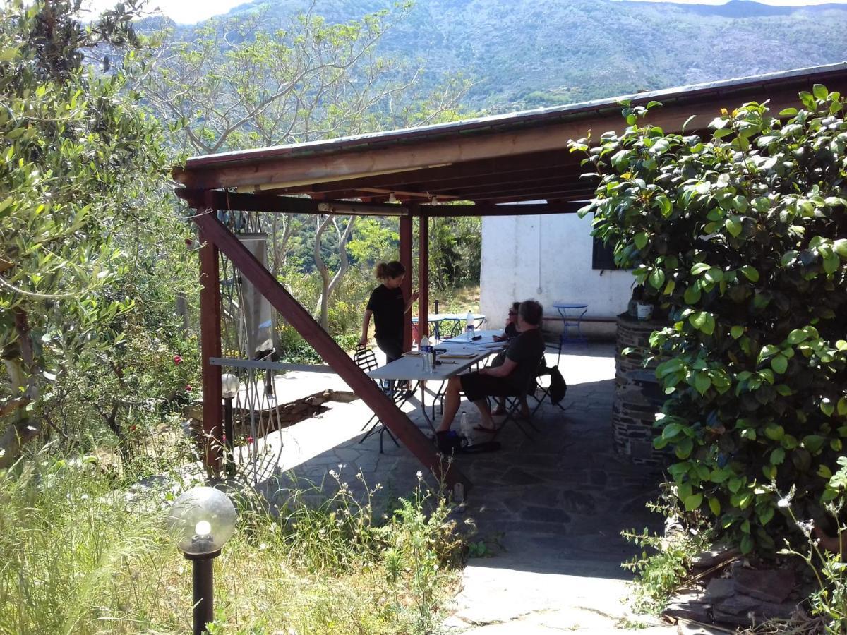 Ikarian Centre - Accommodation & Mountain Hiking Εύδηλος Εξωτερικό φωτογραφία