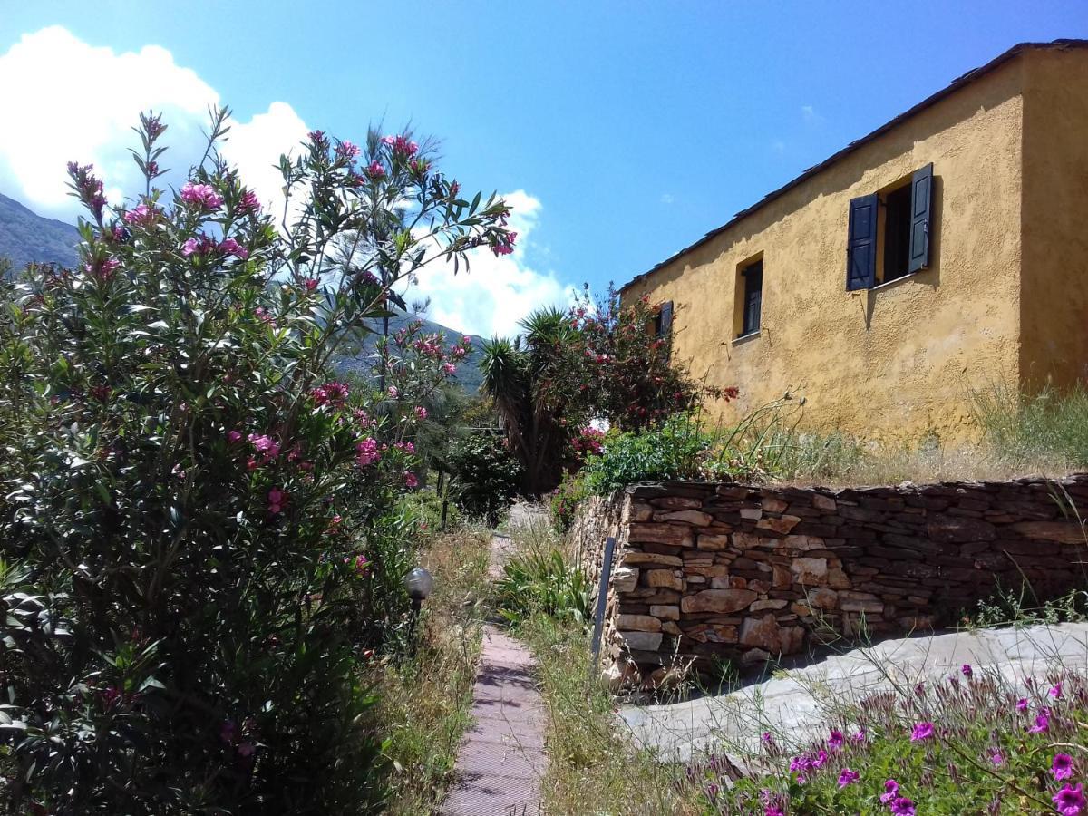 Ikarian Centre - Accommodation & Mountain Hiking Εύδηλος Εξωτερικό φωτογραφία