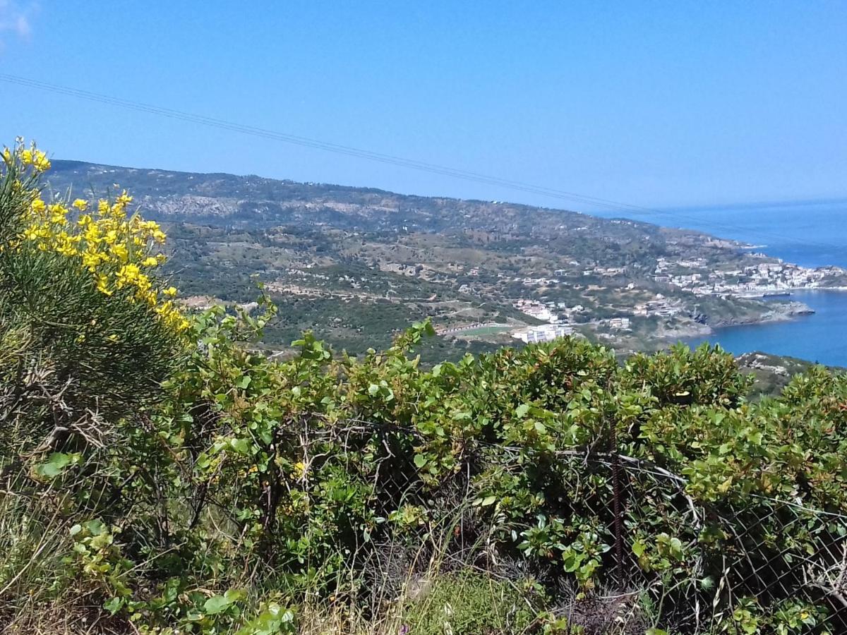 Ikarian Centre - Accommodation & Mountain Hiking Εύδηλος Εξωτερικό φωτογραφία
