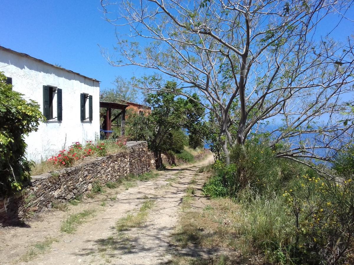 Ikarian Centre - Accommodation & Mountain Hiking Εύδηλος Εξωτερικό φωτογραφία