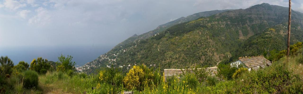 Ikarian Centre - Accommodation & Mountain Hiking Εύδηλος Εξωτερικό φωτογραφία