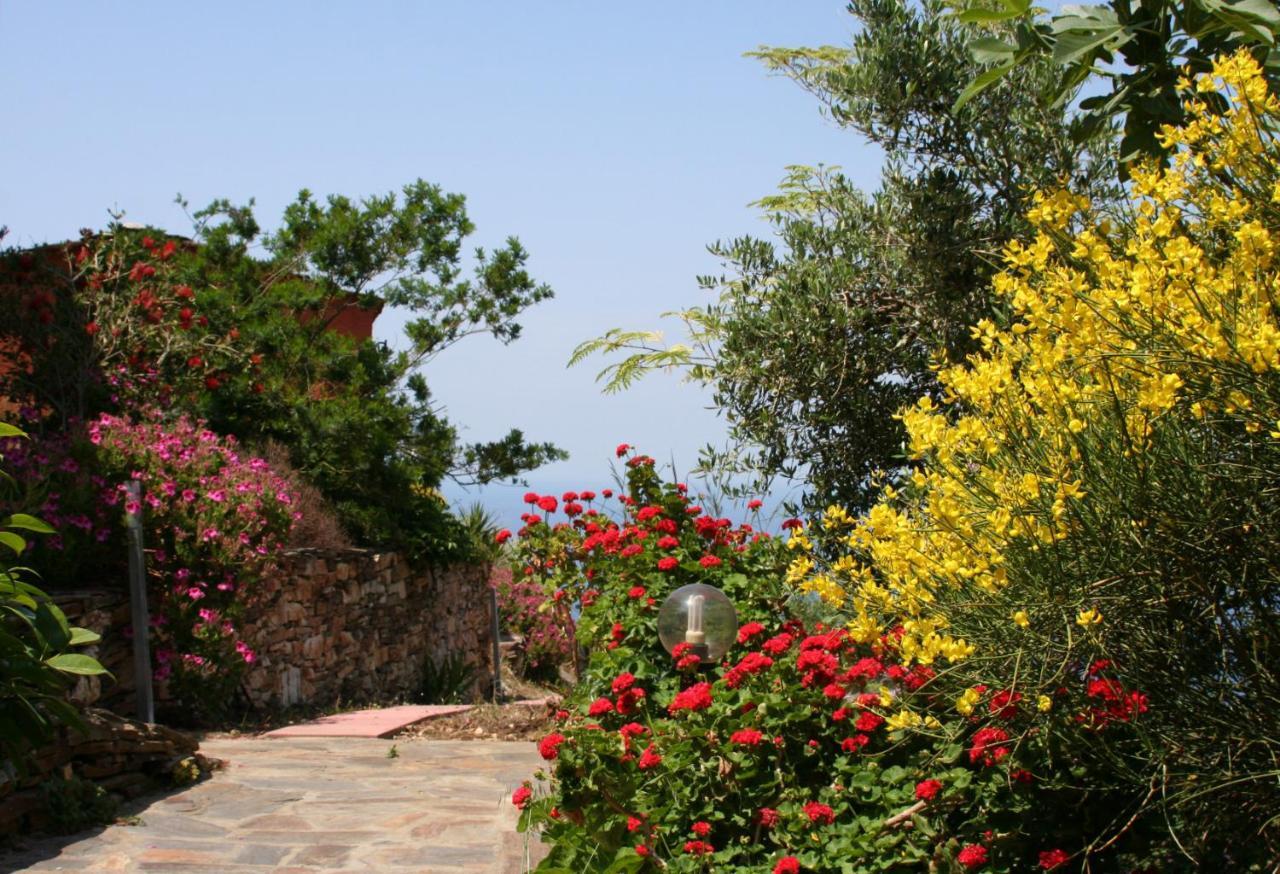Ikarian Centre - Accommodation & Mountain Hiking Εύδηλος Εξωτερικό φωτογραφία
