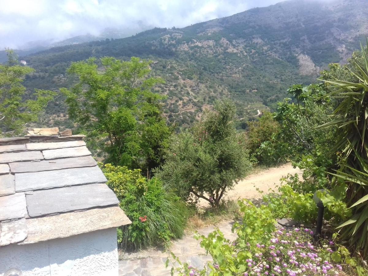 Ikarian Centre - Accommodation & Mountain Hiking Εύδηλος Εξωτερικό φωτογραφία
