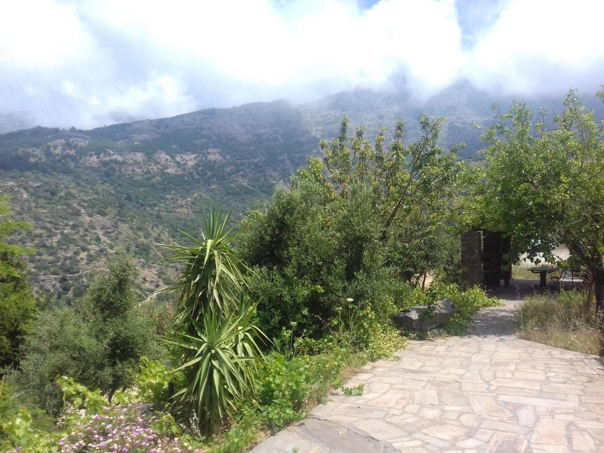 Ikarian Centre - Accommodation & Mountain Hiking Εύδηλος Εξωτερικό φωτογραφία