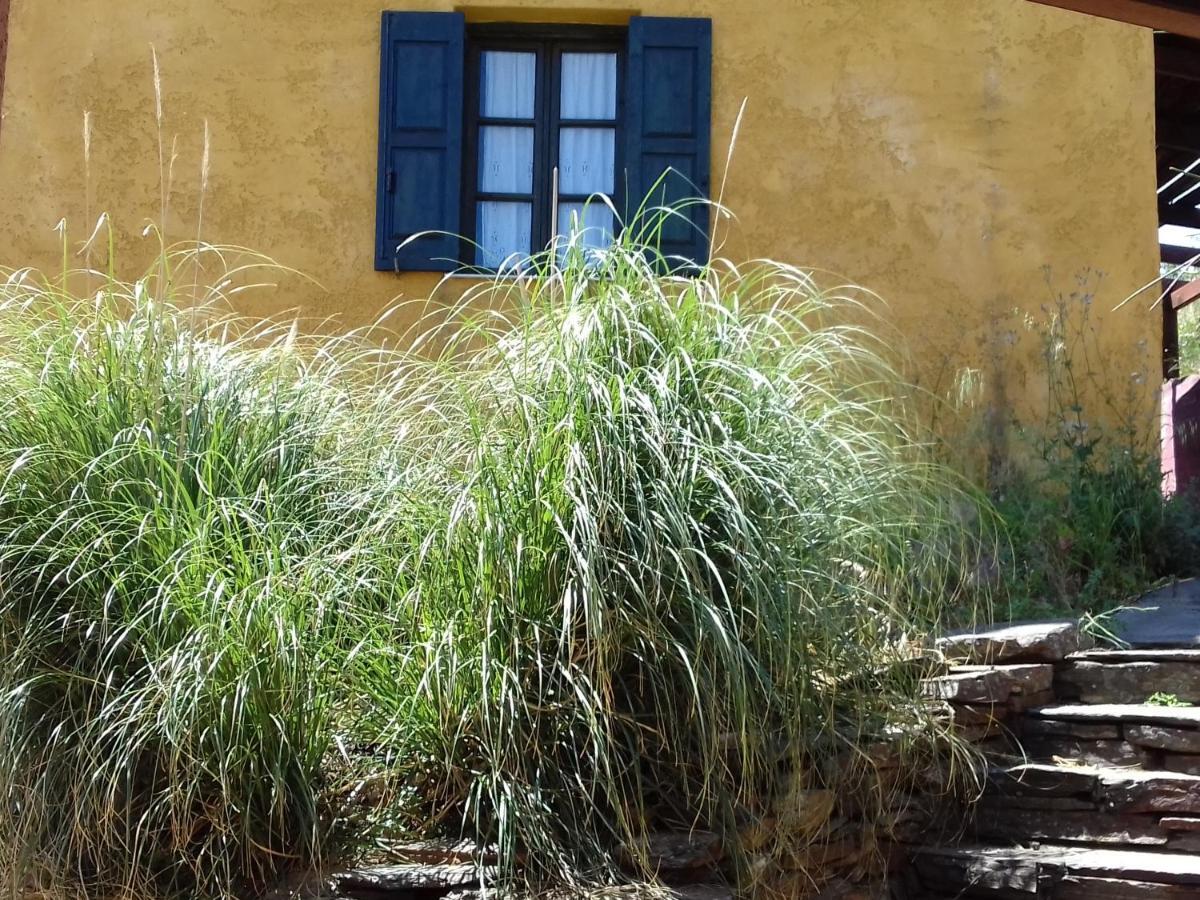 Ikarian Centre - Accommodation & Mountain Hiking Εύδηλος Εξωτερικό φωτογραφία